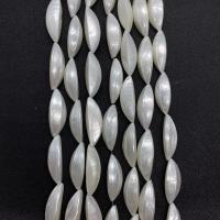 Natuurlijke zoetwaterschelp kralen, Freshwater Shell, DIY, wit, 12x30mm, Per verkocht Ca 38 cm Strand