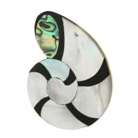 Natuurlijke Abalone Shell Hangers, Abalone Schelp, met White Shell, mode sieraden & DIY, multi-gekleurde, 39x46x3mm, Gat:Ca 1mm, 5pC's/Lot, Verkocht door Lot