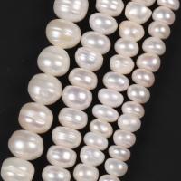 Natural Freshwater Pearl Loose Beads DIY Sold By Strand