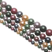 Perline conchiglia mari del sud, Shell Pearl, Cerchio, placcato, DIY & formato differente per scelta, colori misti, Venduto per Appross. 15.75 pollice filo