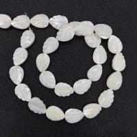 Witte Lip Shell Beads, White Lip Shell, Blad, DIY & verschillende grootte voor keus, wit, Per verkocht Ca 14.96 inch Strand