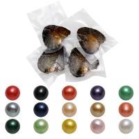 Kit de Pérolas ostras e desejos, Pérolas de água doce, Roda, cores misturadas, 7-8mm,300x180x70mm, Aprox 50PCs/Lot, vendido por Lot