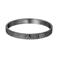 Titanium Stål Bangle, mode smykker & for kvinde, flere farver til valg, 65x8mm, Solgt af PC