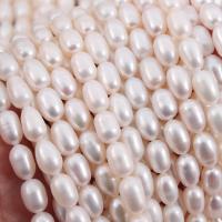 Rice Kulturan Slatkovodni Pearl perle, Riža, možete DIY, bijel, 6mm, Prodano Per Približno 15 inčni Strand