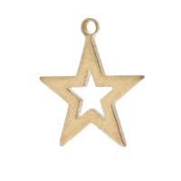 Ihåliga Brass Hängen, Mässing, Star, Unisex, ursprungliga färgen, nickel, bly och kadmium gratis, 12.50x14x1mm, Hål:Ca 1mm, Ca 1000PC/Bag, Säljs av Bag