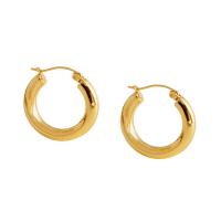 Brass Hoop Earring Titanium Steel Vacuum Plating for woman Sold By Pair