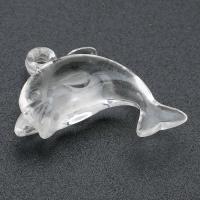 Akryl Vedhæng, Dolphin, du kan DIY, klar, 27x23x9mm, Hole:Ca. 2mm, Solgt af Bag