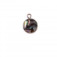 Naturlig Abalone Shell Pendler, med Messing, Runde, forgyldt, du kan DIY, 12mm, Solgt af PC