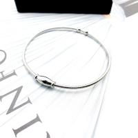 Nerūdijančio plieno Bangle, 316L nerūdijančio plieno, pateptas, Bižuterijos & moters, Originali spalva, 60*2mm, Pardavė PC