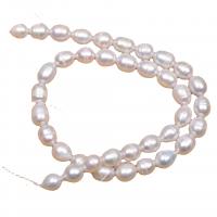 Ris odlad sötvattenspärla pärlor, Freshwater Pearl, DIY, vit, 8-9mm, Längd 36-38 cm, Säljs av PC