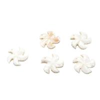 Shell Halsband, Sötvatten Shell, Pinwheel, Sned, Unisex, vit, 29mm, Säljs av PC