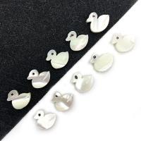 Natürliche See Muschelperlen, Seemuschel, Ente, DIY, weiß, 8x10mm, ca. 20PCs/Tasche, verkauft von Tasche