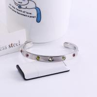 Titanium Steel Bracelet & Bangle plated for woman & with rhinestone Sold By PC