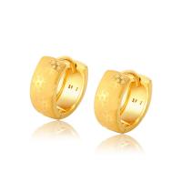 Zinc Alloy Oorbellen, Donut, gold plated, mode sieraden & voor vrouw, gouden, nikkel, lood en cadmium vrij, 6x13mm, Verkocht door pair