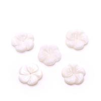 Natural White Shell Kralen, Bloem, Gesneden, DIY & verschillende grootte voor keus, wit, Verkocht door PC