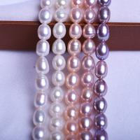 Rice Kulturan Slatkovodni Pearl perle, Riža, možete DIY, više boja za izbor, 7-8mm, Prodano Per Približno 39 cm Strand