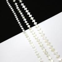 Witte Lip Shell Beads, Top Shell, Oversteken, Gesneden, DIY & verschillende grootte voor keus, wit, Per verkocht Ca 38 cm Strand