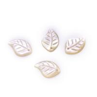 Naturliga Vit Shell Halsband, Vit Lip Shell, Leaf, Sned, DIY, vit, 10x15mm, Säljs av PC