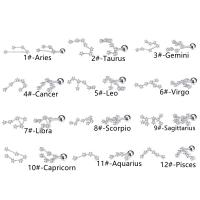 Nerezová ocel náušnice, 304 Stainless Steel, s Zinek, 12 Znaky zvěrokruhu, barva stříbrná á, různé styly pro výběr & micro vydláždit kubické zirkony & pro ženy, stříbro, 1.20x6x4mm, Prodáno By PC