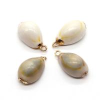 Shell Pendler, Sea Shell, med Messing, Conch, guldfarve belagt, du kan DIY, blandede farver, 20-40mm, Solgt af PC