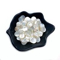 Shell Hangers, Sea Shell, Rond plat, DIY & verschillende grootte voor keus, wit, Verkocht door PC