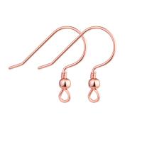 Rozsdamentes acél Hook earwire, 316 rozsdamentes acél, DIY, több színt a választás, 17.60x22.20mm, Által értékesített PC