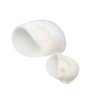 coquille décoration, Naturel & bijoux de mode & styles différents pour le choix, blanc, 2.5-4cm, Vendu par PC