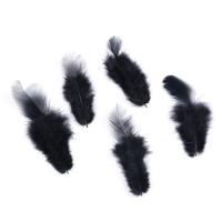 csirke Madártoll Dekoráció töltőanyag feather, divat ékszerek & a nő, két különböző színű, 4-9mm, Által értékesített PC