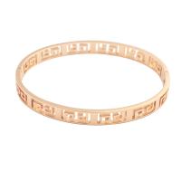 Nerūdijančio plieno Bangle, 304 Nerūdijantis plienas, padengtą, Bižuterijos, daugiau spalvų pasirinkimas, 54x61x2mm, Pardavė PC