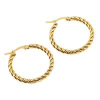 Titanium Steel  Earring 18K gold plated fashion jewelry & for woman golden Sold By Pair