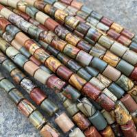 Grânulos de gemstone jóias, Jasper Picasso, Coluna, polido, DIY, cores misturadas, 6x10mm, Aprox 40PCs/Strand, vendido por Strand