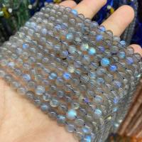 Perles en labradorite, Rond, poli, DIY, gris, 6mm, Vendu par Environ 39 cm brin