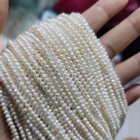 Kulaté kultivované sladkovodní perle, Sladkovodní Pearl, Kolo, DIY, bílý, about:2-3mm, Prodáno za Cca 36 cm Strand