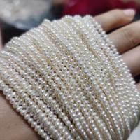 Okrugli Kulturan Slatkovodni Pearl perle, možete DIY, bijel, about:2-3mm, Prodano Per Približno 36-37 cm Strand