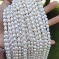 Rýže kultivované sladkovodní perle, Sladkovodní Pearl, DIY, bílý, about:6-7mm, Prodáno za Cca 36 cm Strand