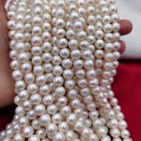 Rice Kulturan Slatkovodni Pearl perle, Riža, možete DIY, bijel, about:8-9mm, Prodano Per Približno 37 cm Strand