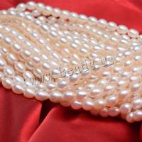 Přírodní sladkovodní perly perlí, Sladkovodní Pearl, DIY & různé velikosti pro výběr, bílý, Prodáno za Cca 37 cm Strand