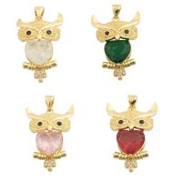 Kubik Zirkonium mikro bana Mässing hängande, Owl, guldfärg pläterade, mode smycken & micro bana cubic zirconia & för kvinna, fler färger för val, 28x19x7mm, Hål:Ca 3mm, Säljs av PC