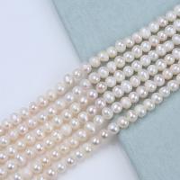 Prirodni slatkovodni biser labav nakit, Slatkovodni Pearl, možete DIY, bijel, 5-6mm, Prodano Per Približno 36 cm Strand