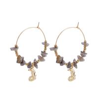 Boucles d'oreilles en alliage de zinc, Placage, différentes couleurs et motifs pour le choix & bijoux de mode & pour femme, couleur platine, protéger l'environnement, sans nickel, plomb et cadmium, 48x21mm, Vendu par paire