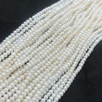 Natuurlijke zoetwater parel Losse Kralen, DIY, wit, 3.5-4mm, Per verkocht Ca 38-40 cm Strand