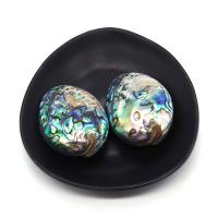 Naturlig Abalone Shell Pendler, Oval, du kan DIY, flerfarvede, 30x45-40x55mm, Solgt af PC