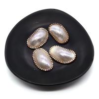 Shell Cabochoner, med Messing, guldfarve belagt, du kan DIY & med rhinestone, hvid, 20x30-25x35mm, Solgt af PC