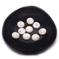 Shell Cabochons, White Shell, Rond plat, Lappendeken & DIY, wit, 15mm, Verkocht door PC