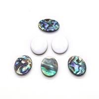 Κοχύλι Cabochons, Abalone Shell, Επίπεδη οβάλ, DIY & διαφορετικό μέγεθος για την επιλογή, πολύχρωμα, Sold Με PC