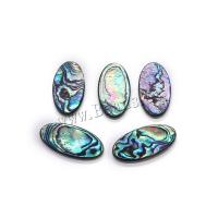 Shell Cabochoner, Abalone Shell, Flad Oval, du kan DIY & forskellig størrelse for valg, flerfarvede, Solgt af PC