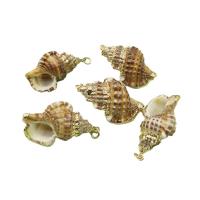 Shell Pendants with Brass Conch gold color plated DIY mixed colors 23x37- Sold By PC