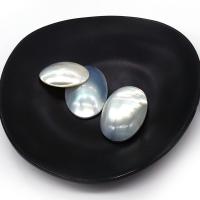 Shell Cabochoner, Sea Shell, Oval, du kan DIY, flerfarvede, 20x30-25x35mm, Solgt af PC