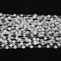 Natural White Shell Perler, Flad Rund, udskrivning, du kan DIY & forskellige design til valg, flere farver til valg, 8mm, Ca. 20pc'er/Strand, Solgt af Strand