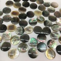 Shell-Cabochons, nero conchglia, Cerchio piatto, DIY, 17x2mm, Venduto da PC